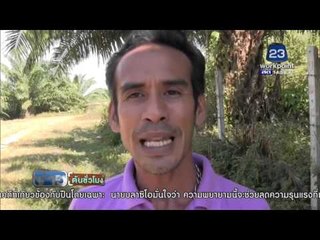 ยิงแกนนำม็อบสวนปาล์มน้ำมัน จ.กระบี่ | ระเบิดในปากีสถาน ตาย 15 | ข่าวต้นชั้วโมง 13 ม.ค. 59