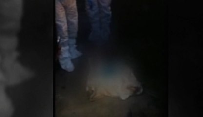 Quito: se encuentra sin vida a bebé en un terreno baldío