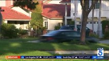 Suspected Intruder Caught on Camera Before Being Chased Away by Homeowner