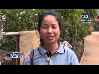 ข่าวมื้อเช้า | ชาวบ้านเดือดร้อน หนอนผีเสื้อบุกบ้าน | 20 ม.ค.  59