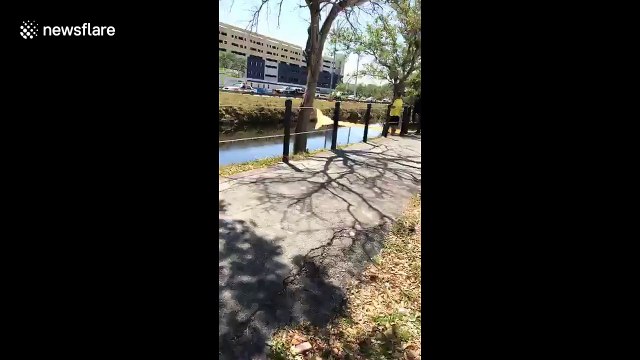 Pedestrian bridge collapses onto highway in Florida