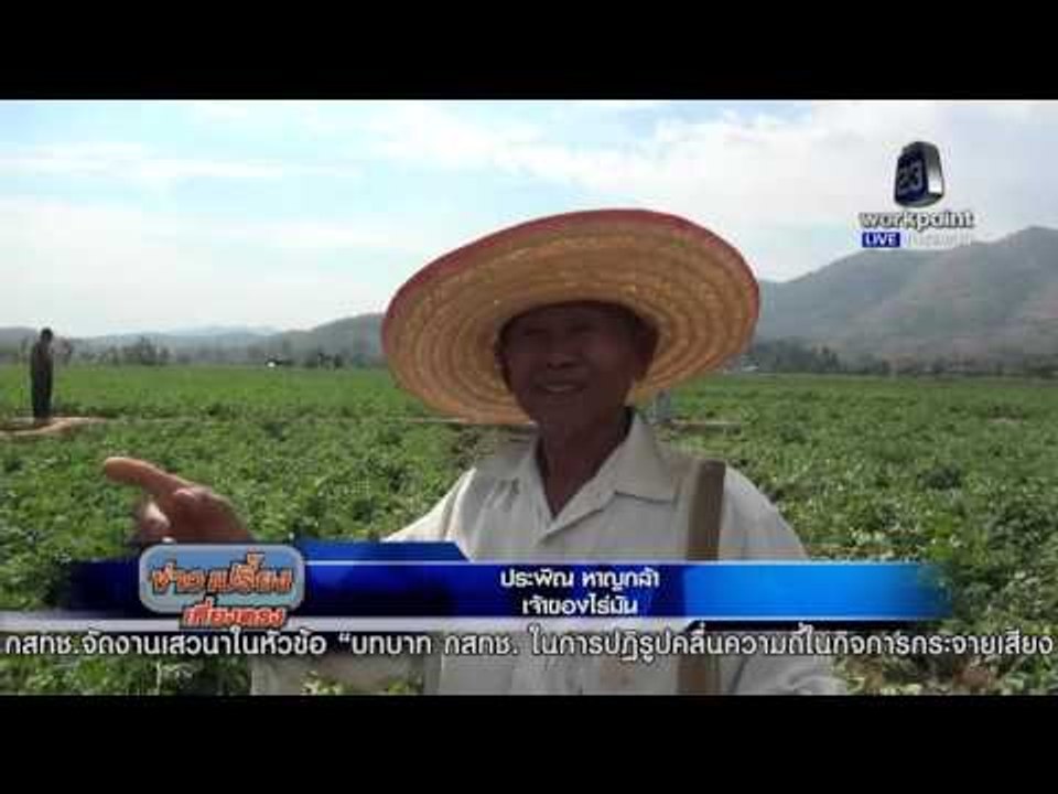 เครื่องบินส่วนตัวตกกลางไร่มัน | ข่าวเปรี้ยงเที่ยงตรง l 25 มค. 59