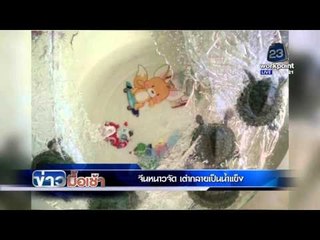 จีนหนาวจัด เต่ากลายเป็นน้ำแข็ง | ข่าวมื้อเช้า |  27 ม.ค. 59