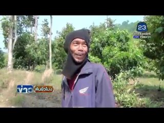 "พ่อคลั่ง"ยิงลูกในไส้ 4ศพ | สวนทุเรียน เดือดร้อนหลังเจอลมหนาว | ข่าวต้นชั่วโมง | 8 ก.พ. 59