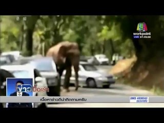 ช้างป่ายูนนานอาละวาด ทำลายรถยนต์พัง 14 คัน | ข่าวมื้อเช้า 16 ก.พ. 59
