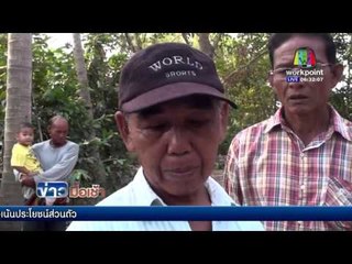 ศรีสะเกษ  ยิงถล่มเจ้าอาวาสวัดบ้านเวาะปล้นไม้พะยูงยักษ์ l ข่าวมื้อเช้า l 24 ก.พ.59