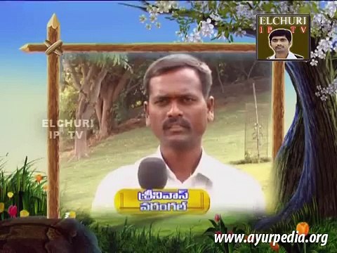Ayurvedic Remedies For Ulcers Remedy 2 By Panditha Elchuri