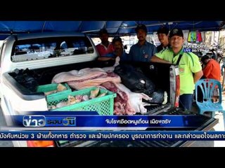 จับโรงเชือดหมูเถื่อน เมืองตรัง | ข่าวรอบวัน | 9 มี.ค. 59