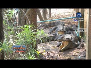 รวมอากาศร้อน | ข่าวเปรี้ยงเที่ยงตรง | 22 มี ค 59