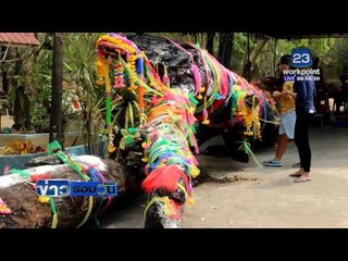 ฮือฮาฝรั่งขอหวยต้นตะเคียนยักษ์อายุ 600 ปี  | ข่าวรอบวัน | 25 มีค. 59