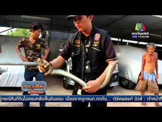 หนุ่งโรงงานเปิดกระโปรงรถเจองูเหลือม | ข่าวเปรี้ยงเที่ยงตรง  | 29 มี ค 59