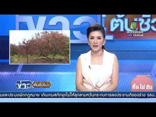 พิษณุโลกแล้งหนัก ไม้ผลขาดน้ำยืนต้นตาย | ข่าวต้นชั่วโมง | 21 เม.ย. 59