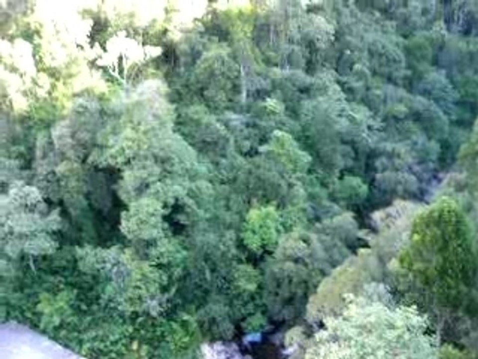 La forêt de Vohimana vue du pont