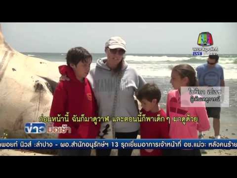 สหรัฐหาทางกำจัดซากวาฬตายเกยชายหาด | ข่าวมื้อเช้า | 28 เม.ย. 59