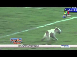 ''เจ้าตูบผิดคิว'' วิ่งลงสนามฟุตบอลกระโดดขอเล่นบอล | ข่าวเปรี้ยงเที่ยงตรง | 28 เม.ย. 59