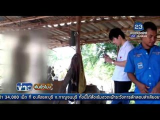 หนุ่มใหญ่เครียดขาบวมผูกคอตอาย | ข่าวต้นชั่วโมง | 6 พ.ค. 59
