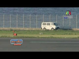 สุนัขจรจัด 4 ตัว แอบเข้าไปในท่าอากาศยานฮาเนดะ l ข่าวเปรี้ยงเที่ยงตรง l 13 พ.ค. 59