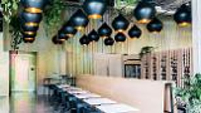 Hayden Chef Cooks for Love of Chemistry, Eating and Making People Happy | Where Hollywood Eats