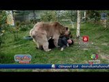 คู่รักรัสเซียเลี้ยงหมียักษ์ | ข่าวเปรี้ยงเที่ยงตรง | 31 พ.ค. 59