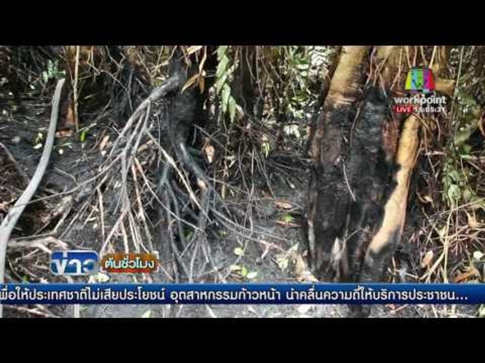 จนท  ระดมดับไฟป่าตากใบ จ นราธิวาส  l ข่าวต้นชั่วโมง l 20 พ.ค. 59