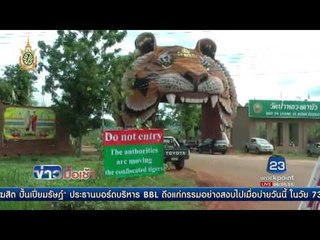 ขนย้ายเสือ พบซากลูกเสือกว่า 40 ตัว ภายในวัดหลวงตาบัว l ข่าวมื้อเช้า l 2 มิ.ย.59