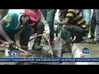 ช่วยลูกช้างตกท่อในศรีลังกา l ข่าวมื้อเช้า l 31 พ.ค. 59