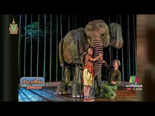 ลูกช้างช่วยเด็กอังกฤษรอดสึนามิ นำไปสร้างละครเวที | ข่าวเปรี้ยงเที่ยงตรง | 31 พ.ค. 59