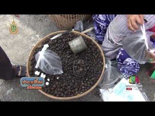 เห็ดเผาะ ขาลงลดเหลือโลละ 100 บาท | ข่าวเปรี้ยงเที่ยงตรง | 10 มิ.ย. 59