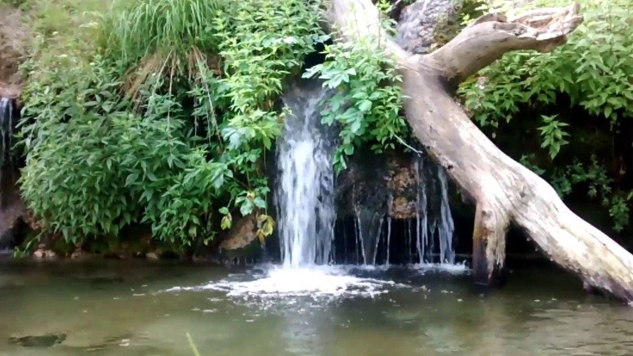 sonidos de la naturaleza- nature sounds -