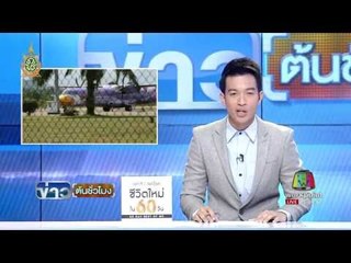 ''นกแอร์'' กระจกร้าว ลงจอดฉุกเฉินชุมพร | ข่าวต้นชั่วโมง | 17 มิ.ย. 59