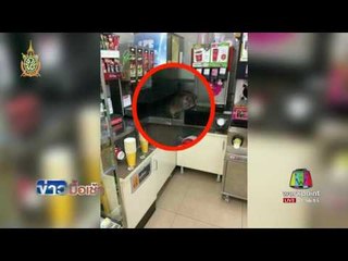 ปิดร้าน 1 วัน หนูไซส์บิ๊กโผล่ตู้น้ำ 'กัฟ' เซเว่นอีเลฟเว่น l ข่าวมื้อเช้า l 24 มิ.ย.59