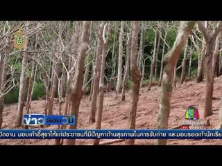 พบกวำงป่ากว่า30ตัว อ้ำงหลงป่ำมำแล้วขยำยพันธุ์เอง | ข่าวรอบวัน | 22 มิ.ย. 59