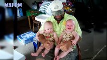 Super Cute Daddies And Twins Babies Moments - Daddy And Baby Funny Videos Compilation