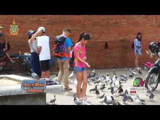 ชาวจีนเริ่มบอยคอตเชียงใหม่ กระทบธุรกิจท่องเที่ยว | ข่าวเปรี้ยงเที่ยงตรง |  26 ก.ค. 59