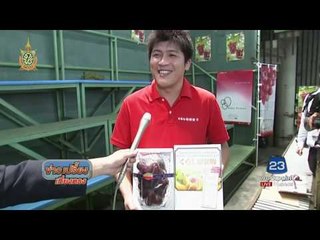 องุ่นญี่ปุ่นแพงที่สุดในโลก พวงละเกือบ 4 แสน | ข่าวเปรี้ยงเที่ยงตรง | 8 ก.ค. 59