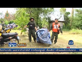 เตรียมตั้ง กก สอบข้อเท็จจริง คดีบ่อนพนันไฮโล | ข่าวต้นชั่วโมง | 20 ก.ค. 59