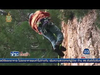 โคลนนิ่งต้นไม้แก้ปัญหาโลกร้อน l ข่าวมื้อเช้า l 26 ก.ค.59