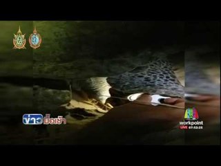 แม่เต่าตนุ ย้อนรอย 28 ปี วางไข่ยังจุดกำเนิด l ข่าวมื้อเช้า l 8.ส.ค.59