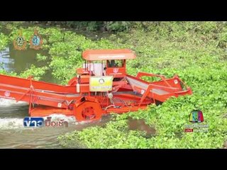 สตง เตรียมสอบงบกำจัดผักตบชวา l ข่าวมื้อเช้า l 29 ส.ค.59