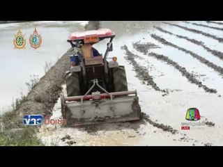 ปลัดเกษตรฯ ชง ครม ไฟเขียวโครงการ จ้างชาวนาเลิกปลูกข้าว