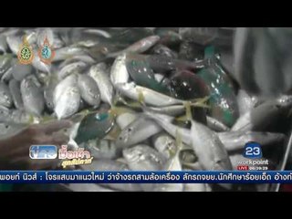 โลกโซเชียลแชร์ภาพ “ปลานกแก้ว”วางขายเกลื่อนในตลาดเมืองกระบี่ l ข่าวมื้อเช้าสุดสัปดาห์ 28 ส ค 59