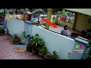 คลิปสาว กวาดใบไม้ใส่บ้านเพื่อนบ้าน | ข่าวเปรี้ยงเที่ยงตรง | 8 ก.ย. 59