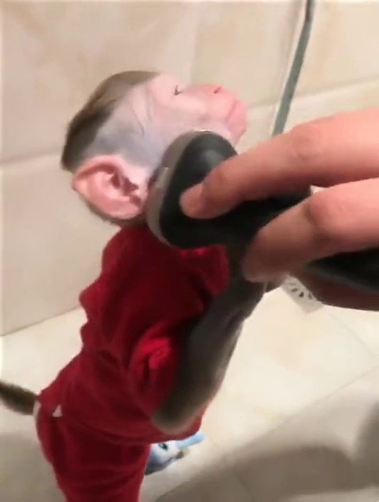 Mr Monkey ready for duty after shaving
