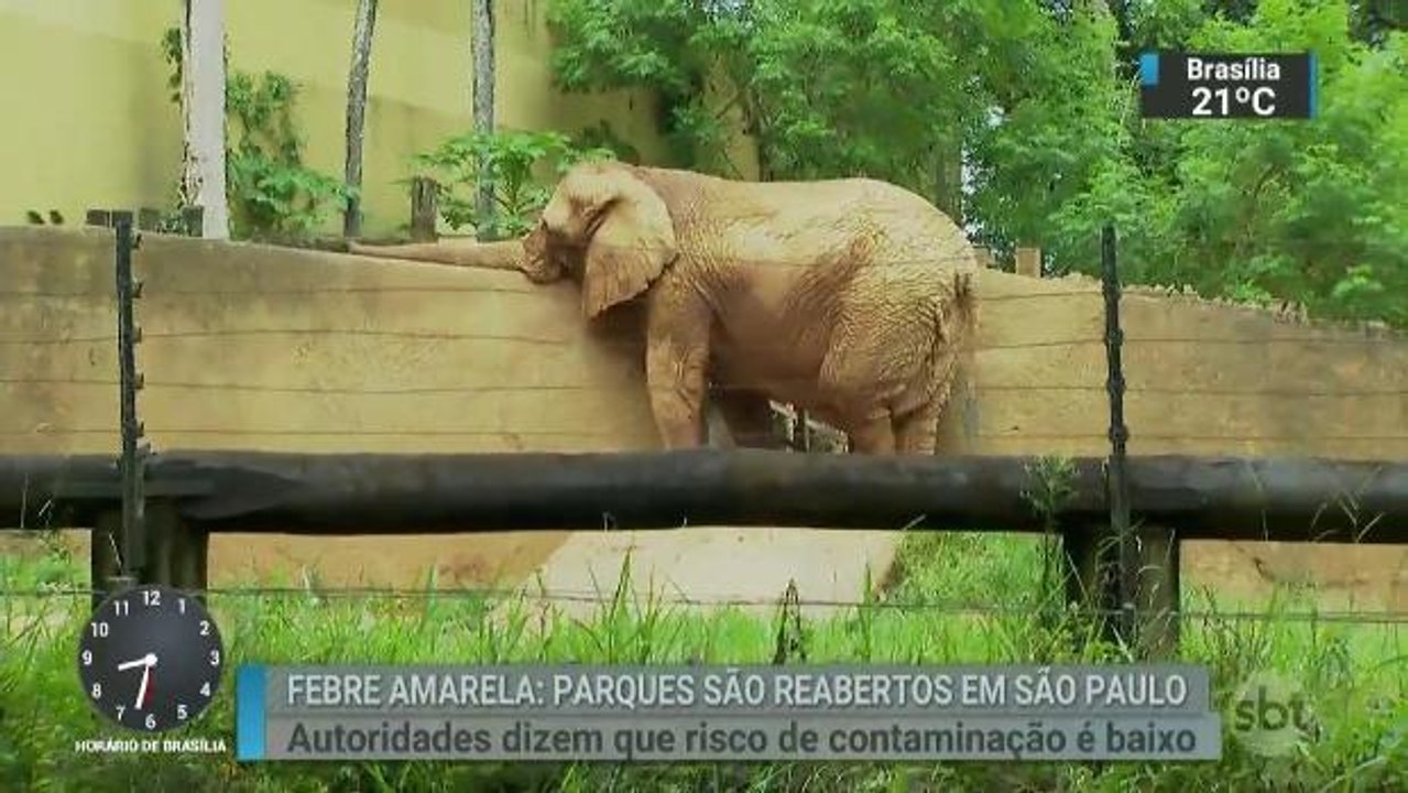 Zoológico de São Paulo, Zoo Safári e Jardim Botânico são reabertos