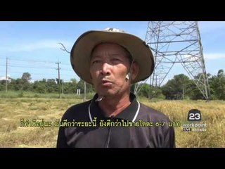 หนองคาย ชาวนาระทมราคาข้าวตกต่ำ l ข่าวมื้อเช้า l 31 ต.ค.59