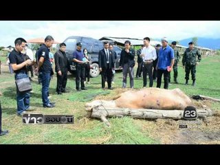 ตรวจสอบเหตุโค กระบือ ป่วยตายกว่า 60 ตัว อ.ขุนตาล | ข่าวรอบวัน | 8 พ.ย. 59