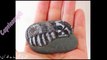 Bringing Stones to Life Amazing 3D Printing On Stone Like Real LIfe Animals