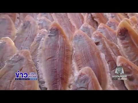 มือปืนกราดยิงผู้คนในนิวออร์ลีนส์ ดับ 1 บาดเจ็บ 9 ราย | ข่าวเวิร์คพอยท์ | 28 พ.ย. 59