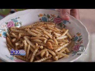 ข่าวแก้จน ตอนหนอนไม้ไผ่ l ข่าวเวิร์คพอยท์ l 29 พ.ย. 59