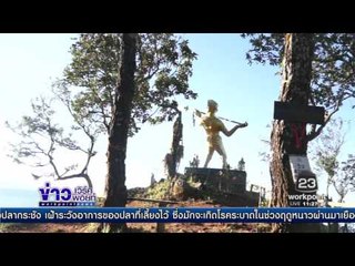 นทท  แห่ชมทะเลหมอกดอยม่อนล่อง จ เชียงใหม่ l ข่าวเวิร์คพอยท์ (เที่ยง) l 20 ธ.ค.59